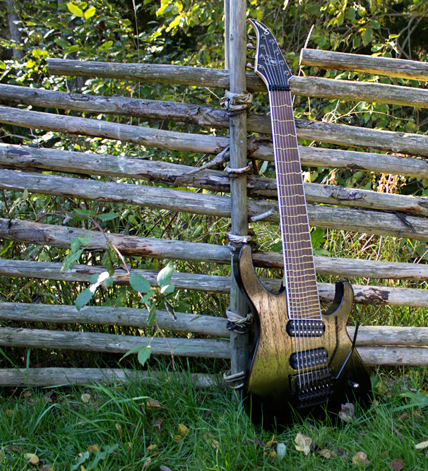 IA's guitar on a field.